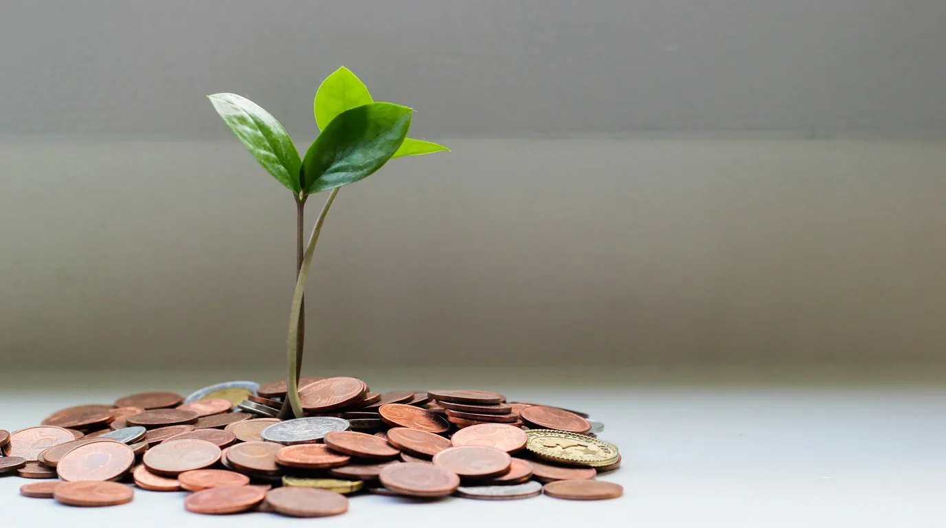 A green seedling rising from a heap of copper coins.